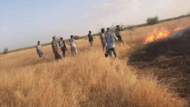 صورة رصد 700 مليون أوقية للوقاية من الحرائق في موريتانيا