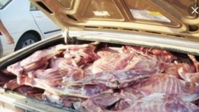 صورة ولد بناهي لابد من تغيير طريقة  نقل اللحوم من المسالخ الى نقاط البيع