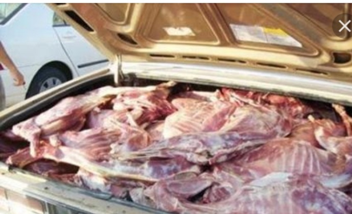 صورة ولد بناهي لابد من تغيير طريقة نقل اللحوم من المسالخ الى نقاط البيع
