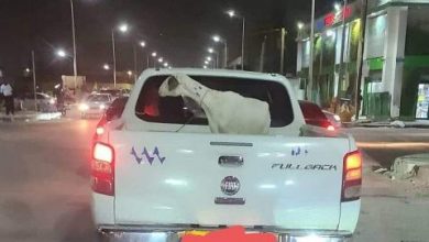 صورة شركة صوملك تعلن معاقبة أحد خبرائها بسبب “تصرف غير مقبول”