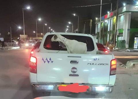 صورة شركة صوملك تعلن معاقبة أحد خبرائها بسبب “تصرف غير مقبول”