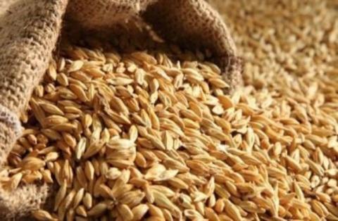 صورة أنباء عن  ارتفاع كبير لسعر القمح بنواكشوط