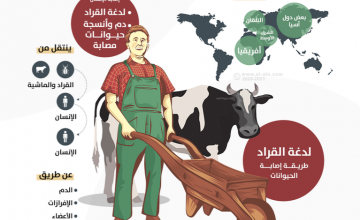 صورة معلومات عن حمى القرم الكونغو النزيفية