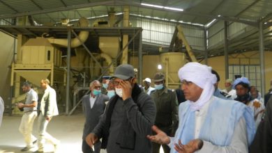 صورة وزير الزراعة يتفقد  مزرعة المارينكا و الخضروات و كذلك مصنع الاعلاف بكرو