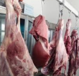 صورة الجزارون / ليلة ساخنة على منبر تنمية لعصابه