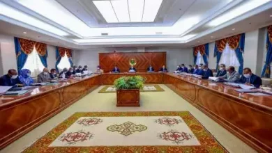 صورة التحويلات الخاصة بولاية لعصابه ضمن بيان مجلس الوزراء