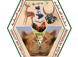 صورة نقابة العاملين في الصحة البيطرية تلوح بالدخول في إضراب