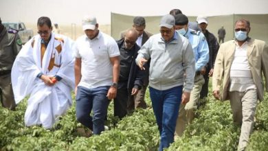 صورة وزير الزراعة ستتم مصادرة الاراضي الصالحة للزراعة اذا لم يتم استغلالها