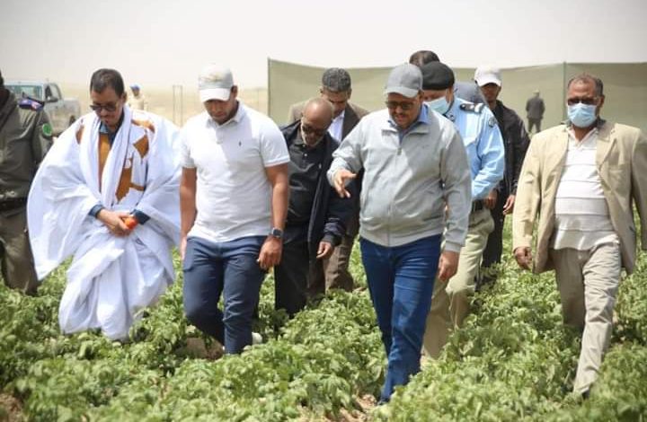 صورة وزير الزراعة ستتم مصادرة الاراضي الصالحة للزراعة اذا لم يتم استغلالها