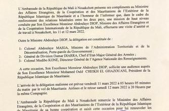 صورة اسماء الوفد المالي الذي سيبدأ زيارة لموريتانيا