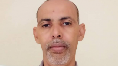 صورة الوزير الأول بين مطرقة التغول وسندان الإحياء/ الحسن ولد محمد الشيخ