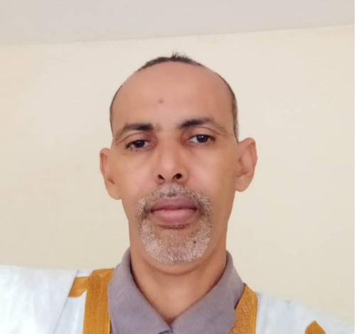 صورة الوزير الأول بين مطرقة التغول وسندان الإحياء/ الحسن ولد محمد الشيخ