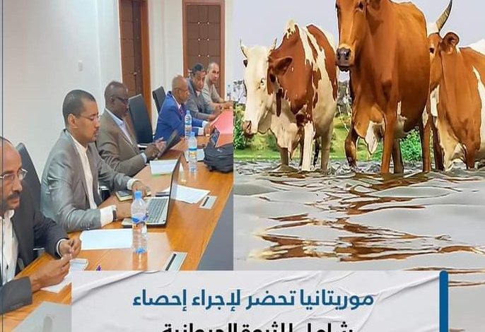 صورة اجتماع تحضيري لبدء إحصاء شامل للثروة الحيوانية