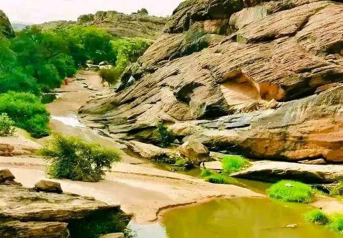 صورة فريق كيفه أون لاين في جولة  لتتبع التساقطات المطرية