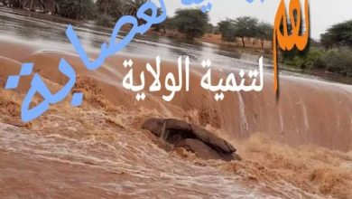 صورة منبر تنمية لعصابة يوجه عريضة مطلبية لوزير الثقافة