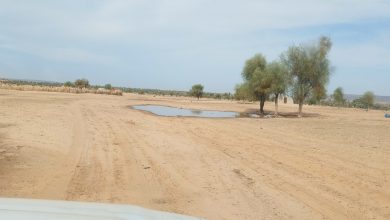 صورة لعصابة / الخوف والتوجس يسيطران على المنمين