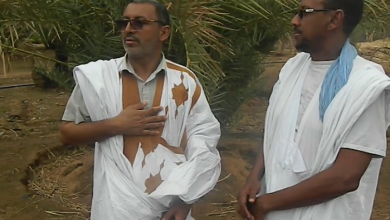 صورة لعصابه /  إحصاء شامل للنخيل في شراكة بين مشروع الواحات واتحاد رابطات لعصابة