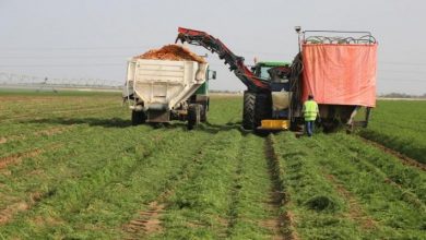 صورة الحملة الزراعية القادمة ستكون  بداية مسار تحقيق الاكتفاء الذاتي