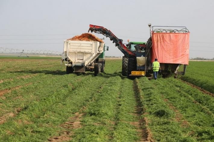 صورة الحملة الزراعية القادمة ستكون بداية مسار تحقيق الاكتفاء الذاتي