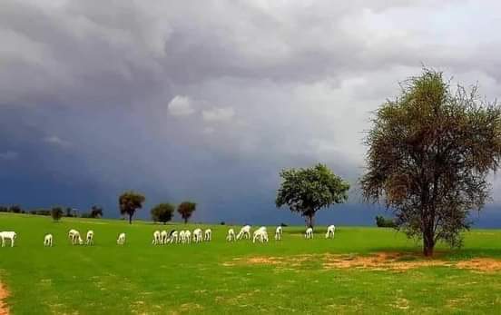 صورة توقعات بأمطار قوية.. والأرصاد الجوية تحذر السائقين