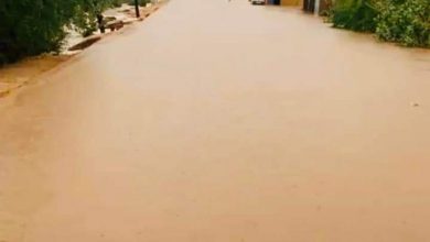 صورة كيفه أون لاين في جولة بين بوكادوم وكرو