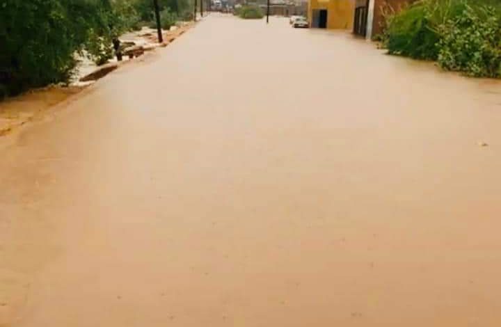 صورة كيفه أون لاين في جولة بين بوكادوم وكرو