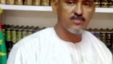 صورة ورطة المعارضة  / الديماني محمد يحي