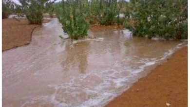 صورة كيفه / تساقطات مطرية على مناطق واسعة الليلة البارحة