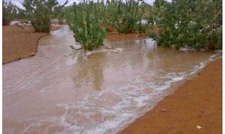 صورة كيفه / تساقطات مطرية على مناطق واسعة الليلة البارحة