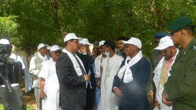 صورة كيفه / الوالي يشرف على انطلاق الاسبوع الوطني للشجرة