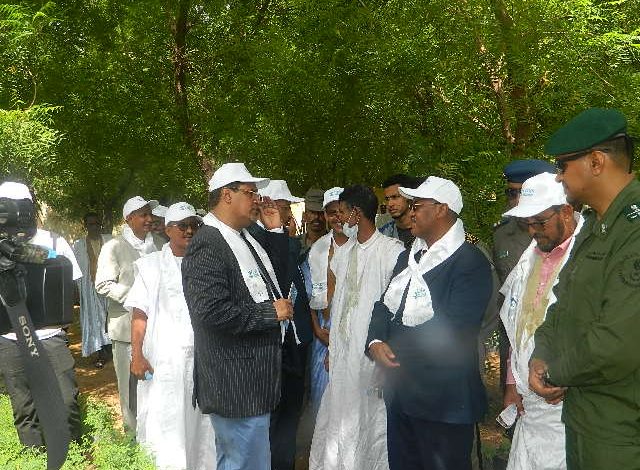 صورة كيفه / الوالي يشرف على انطلاق الاسبوع الوطني للشجرة