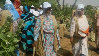 صورة شبكة الطفولة الصغرى تطلق من احد مراكزها الحملة الزراعية