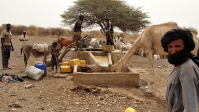 صورة تزايد في الاصابات بحمى الوادي المتصدع