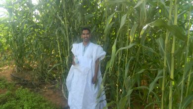 صورة كرو / رجل الاعمال أحمد ولد الحسين _ انجازات كبرى لنهضة زراعية حقيقية