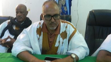 صورة كيفه / انطلاق الفعاليات المحضرة لمهرجان سورملي