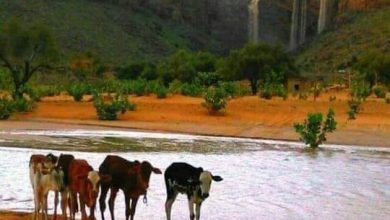 صورة التساقطات المطرية التي  شهدتها اليلة البارحة