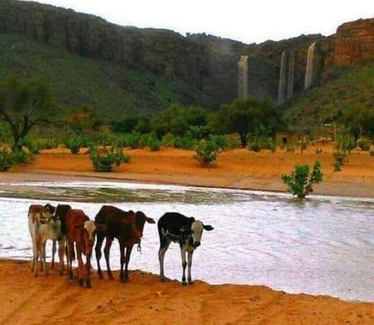 صورة التساقطات المطرية التي  شهدتها اليلة البارحة