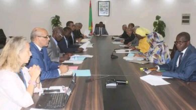 صورة لجنة وزارية توصي بالابتعاد عن الحيوانات الناقلة لعدوى حمى الوادي المتصدع