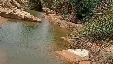 صورة آدرار : واحة (اريجي عبداوه)..البلدة الطيبة حيث عبق التاريخ ودوحة العلم والصلاح وجمال الطبيعة (صور)