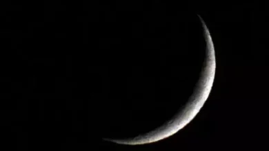 صورة لجنة الأهلة: عيد المولد النبوي سيكون في التاسع من أكتوبر القادم