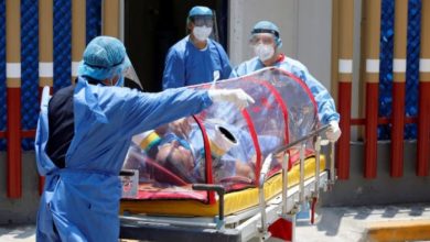 صورة فيروس كورونا وحمى الضنك.. كيف تفرق بين الأعراض