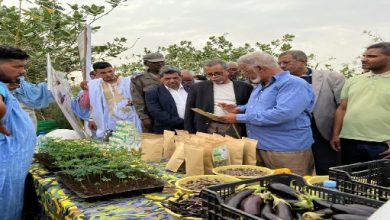 صورة وزير الزراعة يتفقد عددا من المزارع النموذجية في كرو