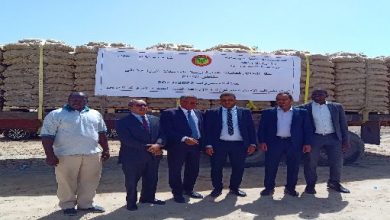 صورة ارسال ٨٠٠ طن من بذور البطاطس الى اماكن الانتاج