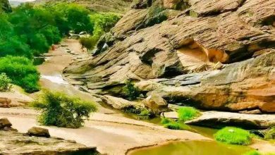 صورة هيئة الارصاد الوطنية تتوقع تساقطات مطرية على ولايات بينها لعصابه