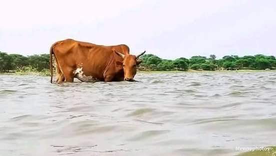 صورة مقاييس التساقطات المطرية مساء الامس واليلة البارحة