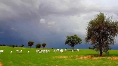 صورة الهيئة الوطنية للارصاد الجوية تتوقع تساقطات مطرية