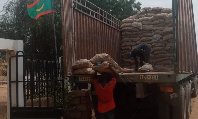 صورة خطوة  هامة وغير مسبوقة تنفذها وزارة الزراعة