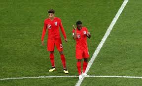 صورة الحشرات توقيف مباراة كيهيدي والجمارك بعد الهجوم على ملعب شيخا