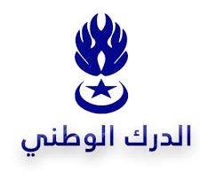 صورة لعصابه: الدر ك يوقف افراد عصابة تنشط في المتاجرة بالادوية