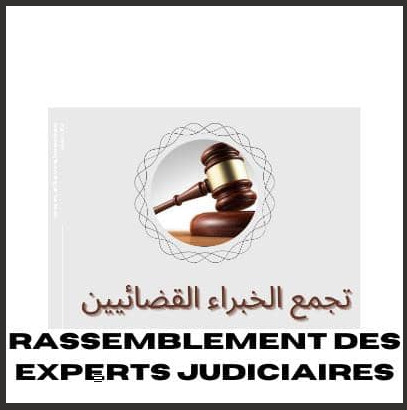 صورة تجمع الخبراء القضائيين: قطاع العدل بحاجة لتشاور وطني موسع (بيان)
